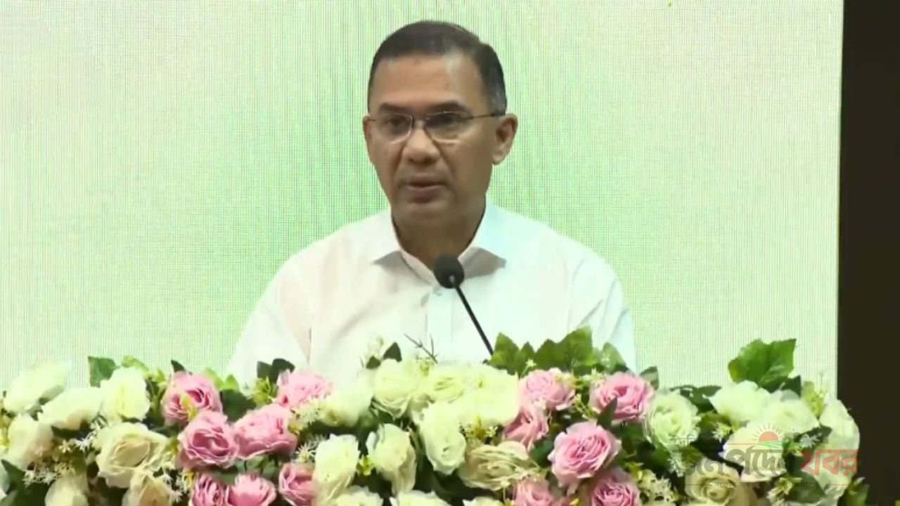 সংখ্যালঘু বা সংখ্যাগুরু নয়, আমরা সবাই  বাংলাদেশি : প্রধানমন্ত্রীর