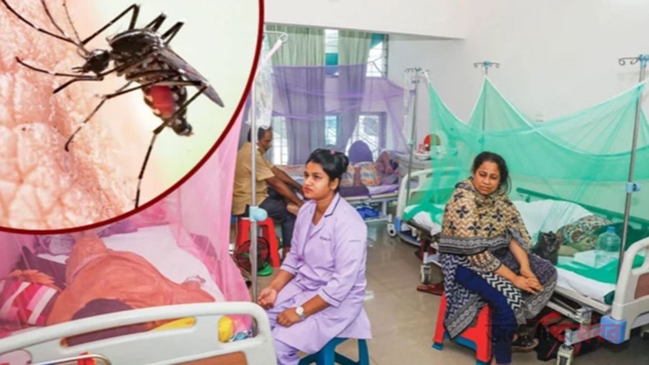 ডেঙ্গুতে হাসপাতালে ভর্তি রোগীরা