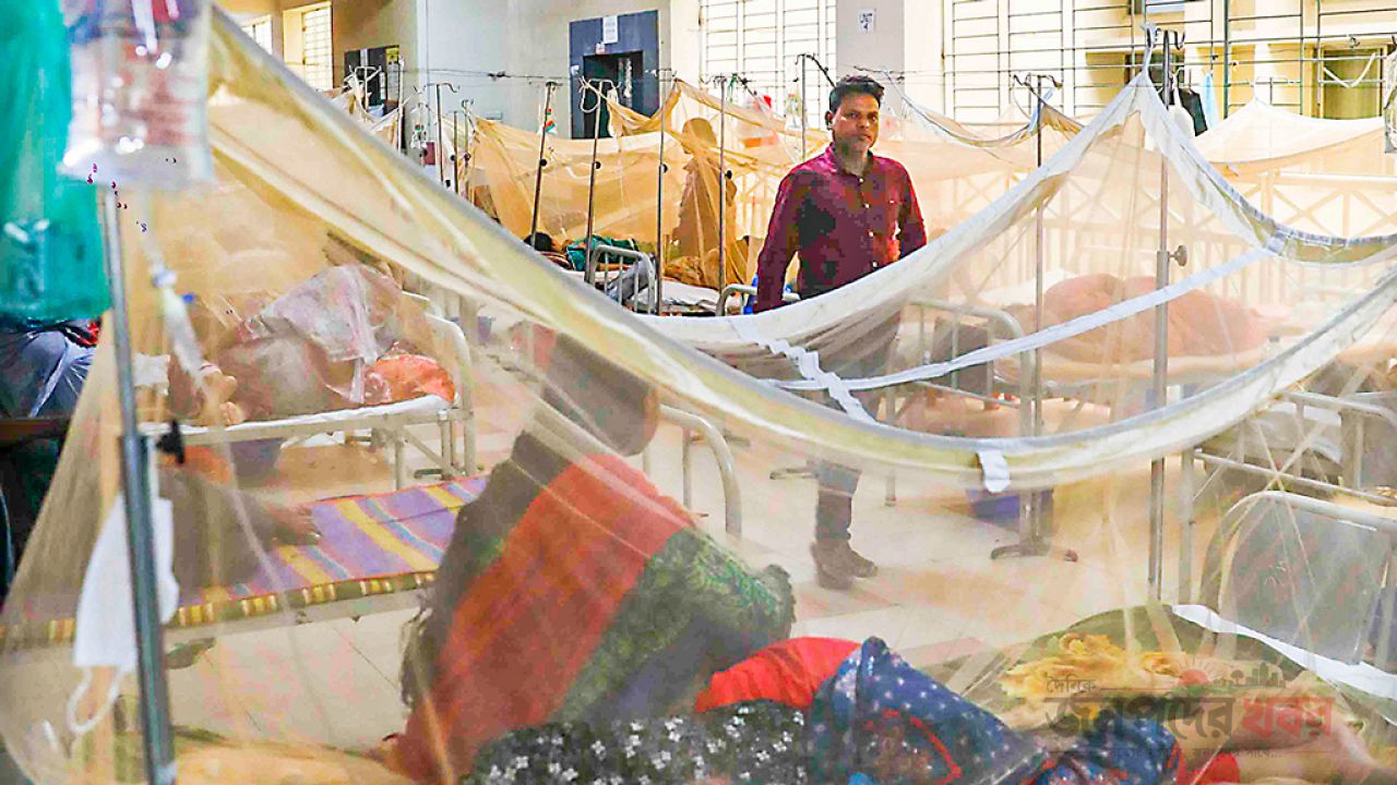 ডেঙ্গুতে ৬ জনের মৃত্যু, নতুন ভর্তি ১৫৬১