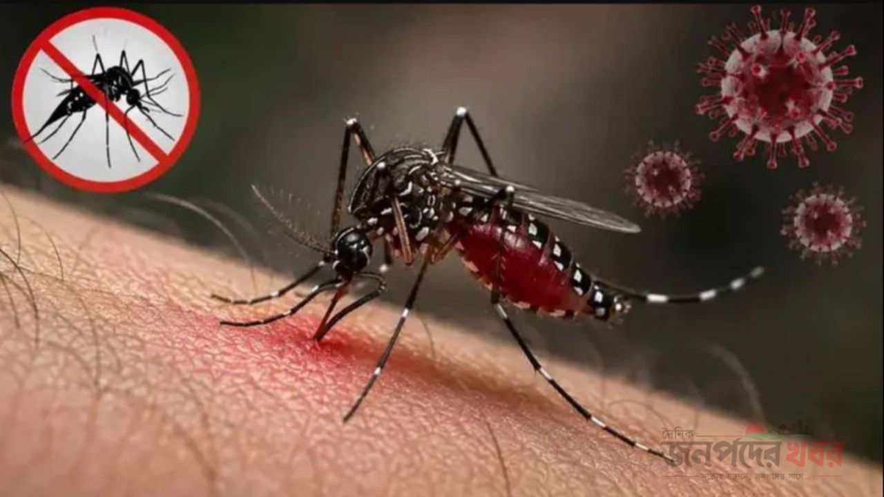 ডেঙ্গুতে ৬ জনের মৃত্যু, হাসপাতালে ভর্তি ২০৮৯