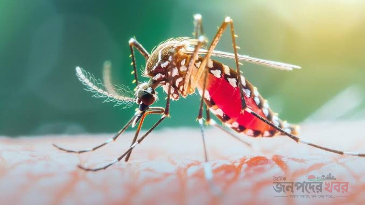 ২৪ ঘণ্টায় ডেঙ্গুতে ৯ জনের প্রাণহানি