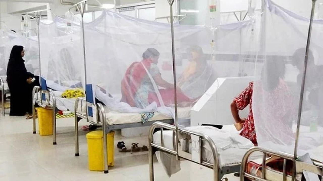 ডেঙ্গুতে আরও ১০ জনের মৃত্যু
