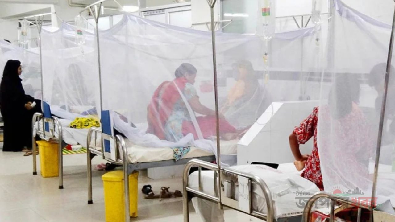 ডেঙ্গুতে একদিনে ৭ জনের মৃত্যু, হাসপাতালে ১৩৭৩